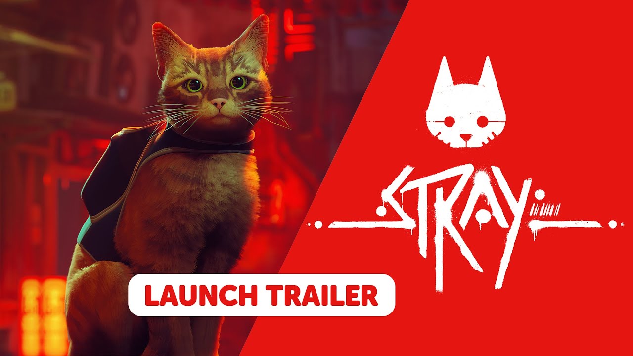 STRAY | Available now on Nintendo Switch!