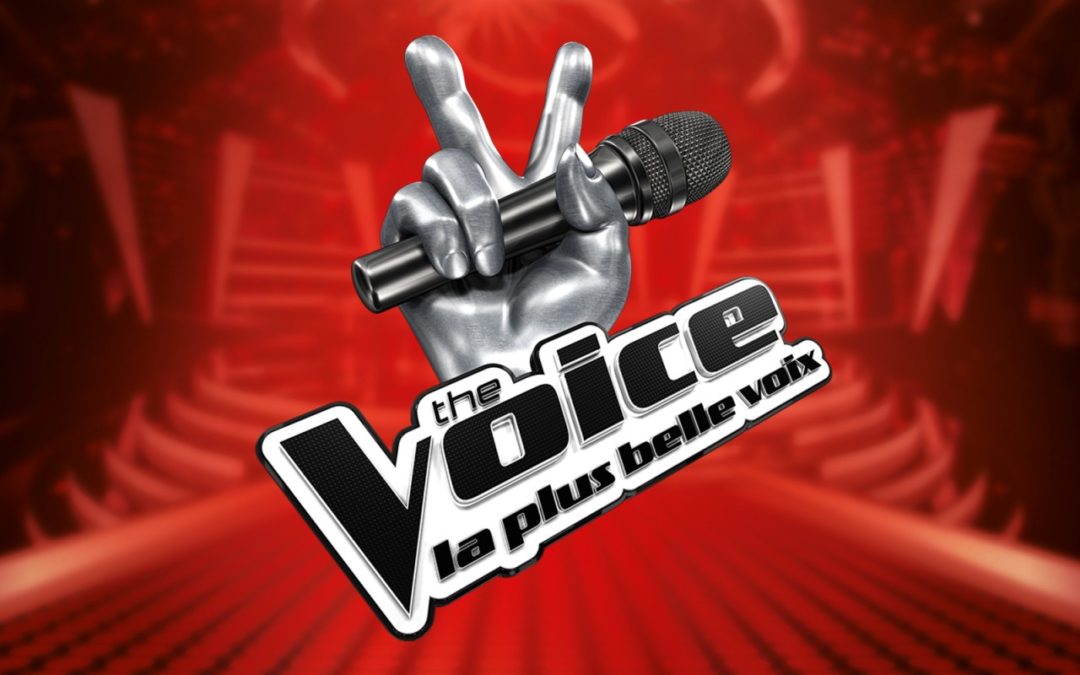 The Voice : La plus belle voix (Switch) / Bundle micros