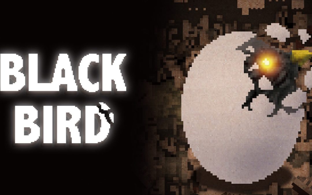 LRG annonce Black Bird