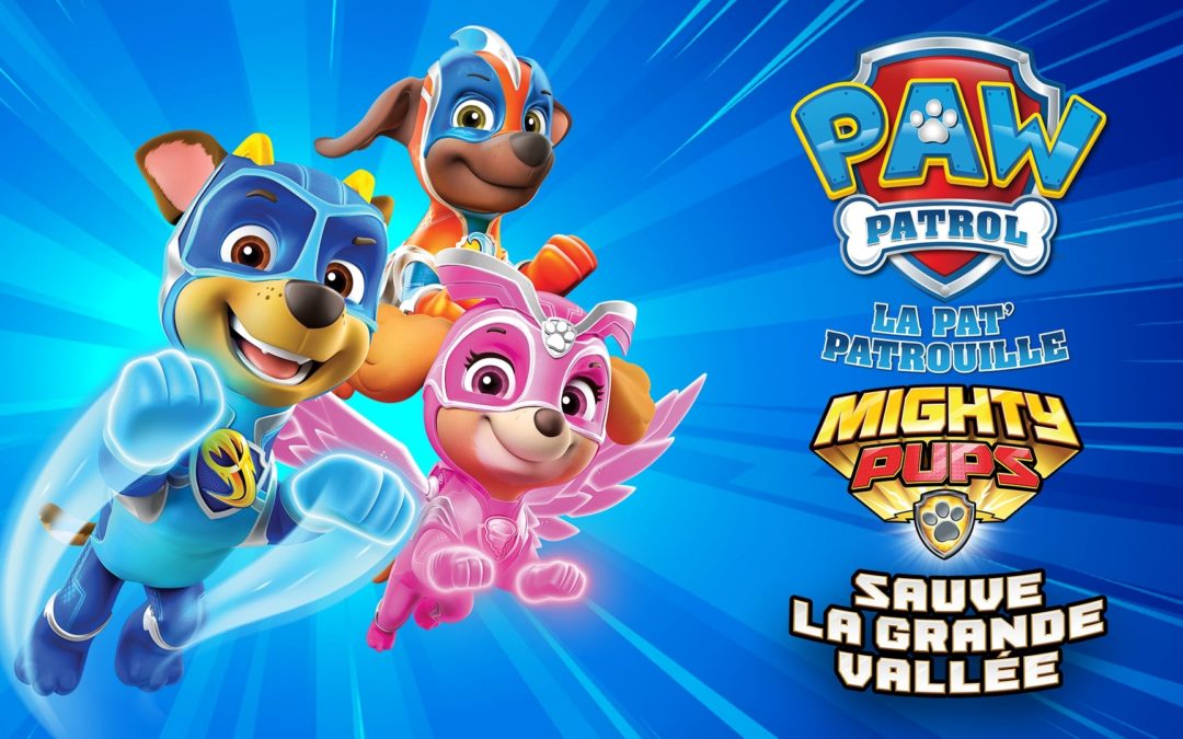 Pat’ Patrouille : La Super Patrouille sauve la Grande Vallée (Switch)