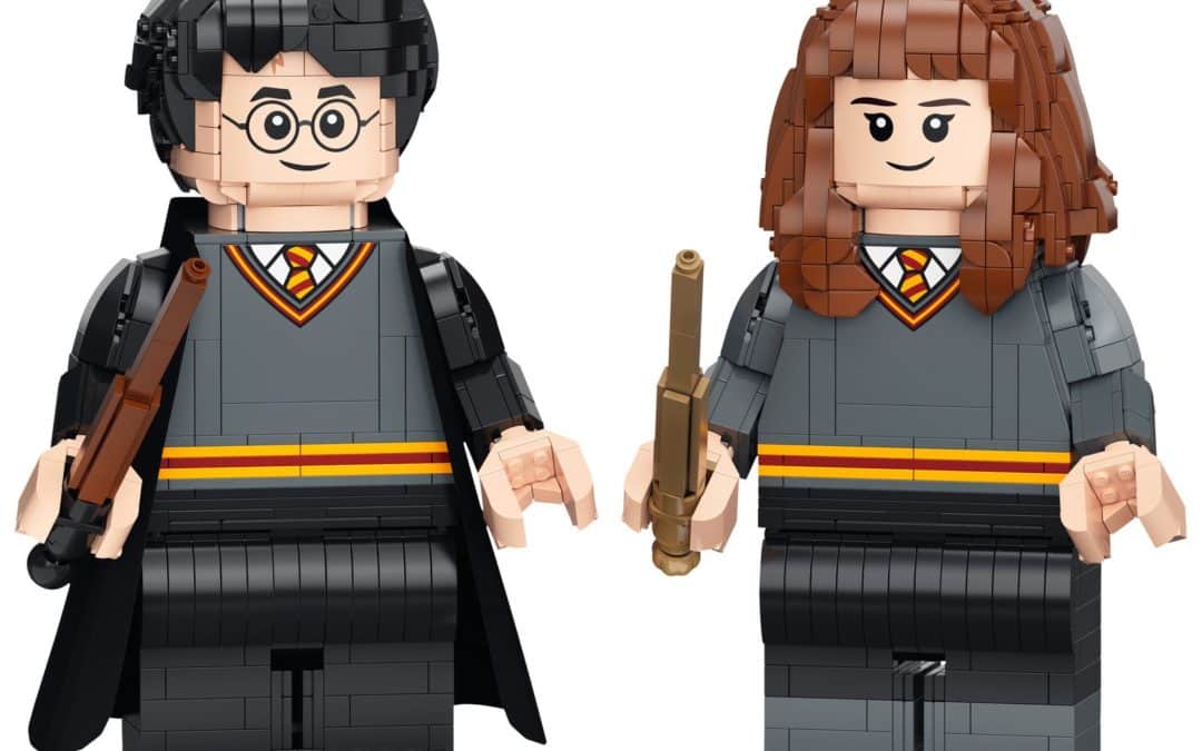 LEGO Harry Potter et Hermione Granger (76393)