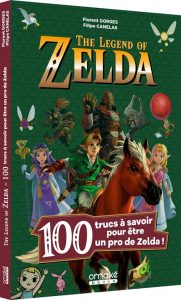 100 Trucs A Savoir Pour Etre Un Pro De Zelda