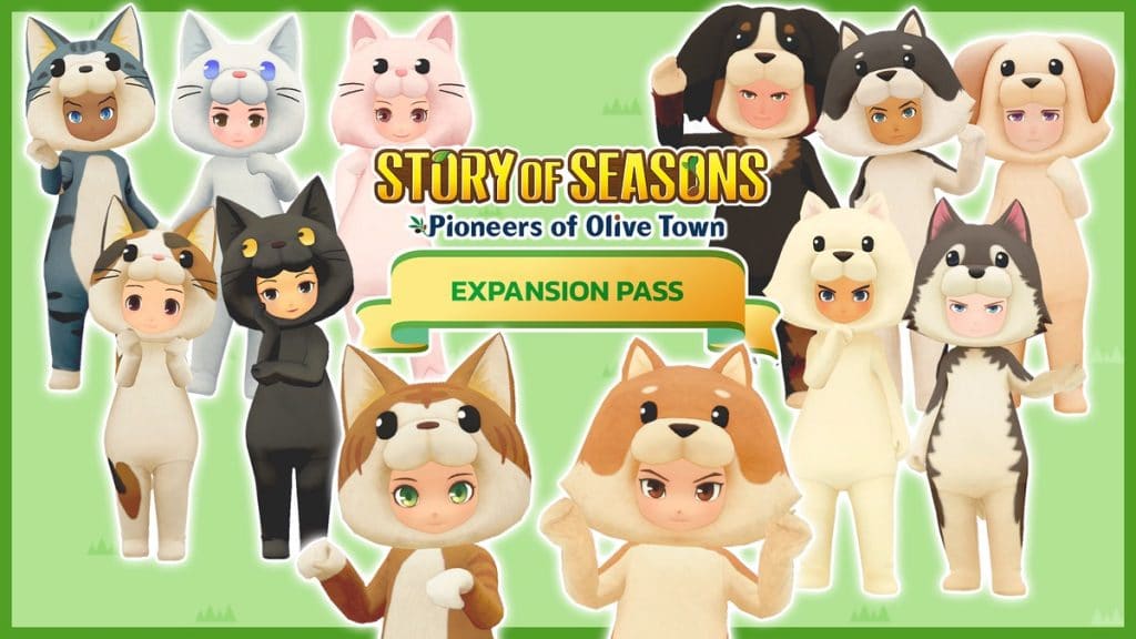 Story Of Seasons Friends Of Olive Town Pass