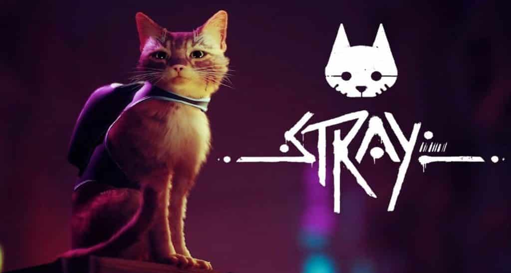 Stray