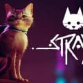 Stray