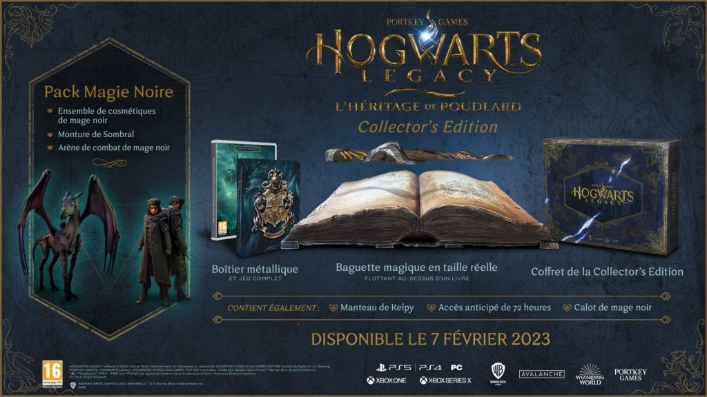 Hogwarts Legacy Lheritage De Poudlard Edition Collector Vf