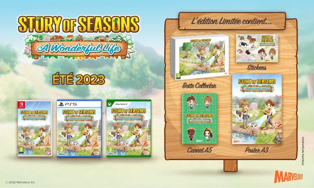 Story Of Seasons A Wonderful Life Edition Limitee
