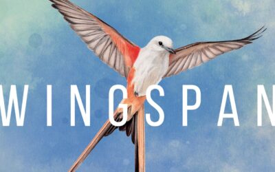 Wingspan – Special Edition (Switch)